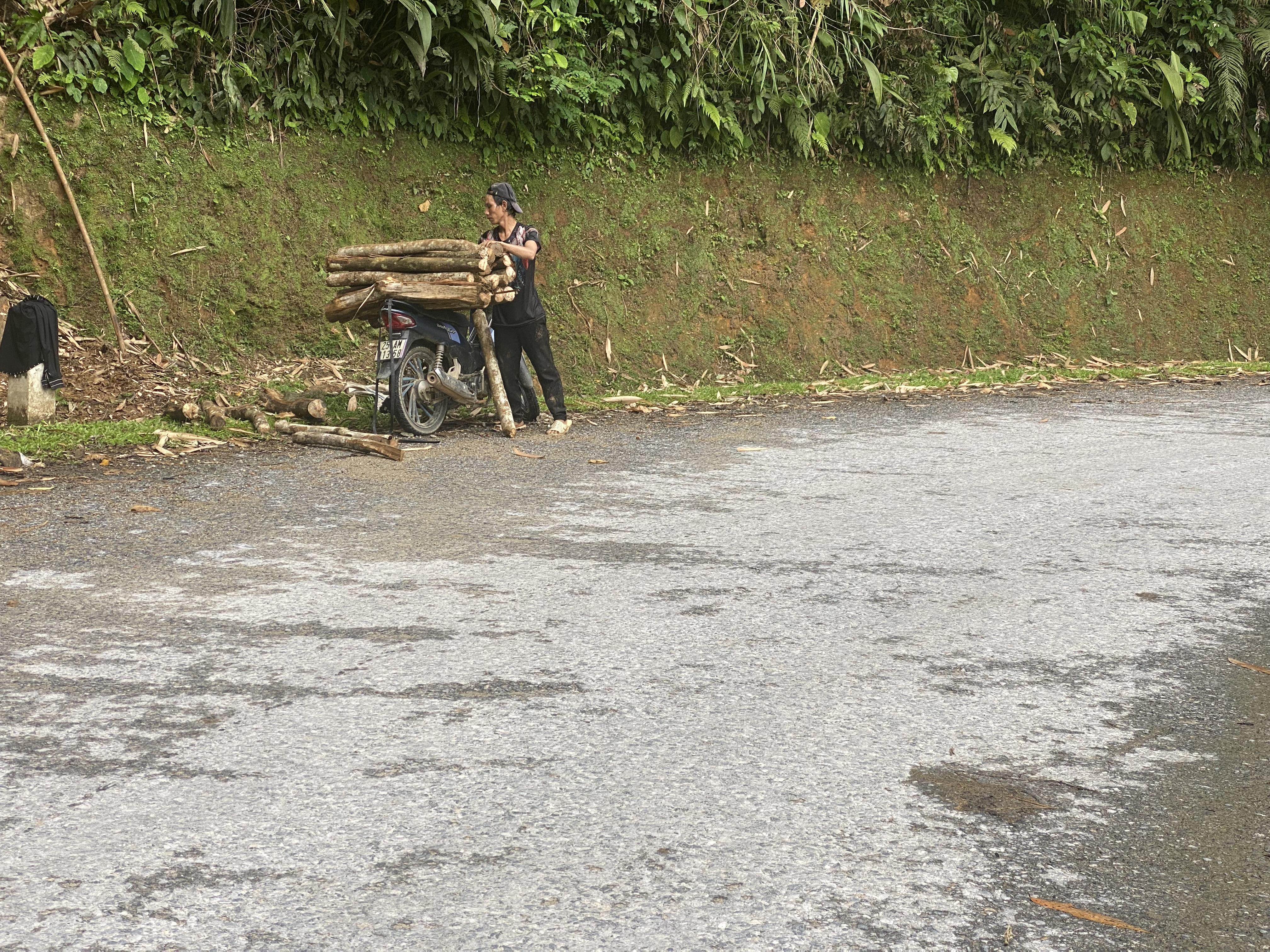 Lấy củi từ rừng