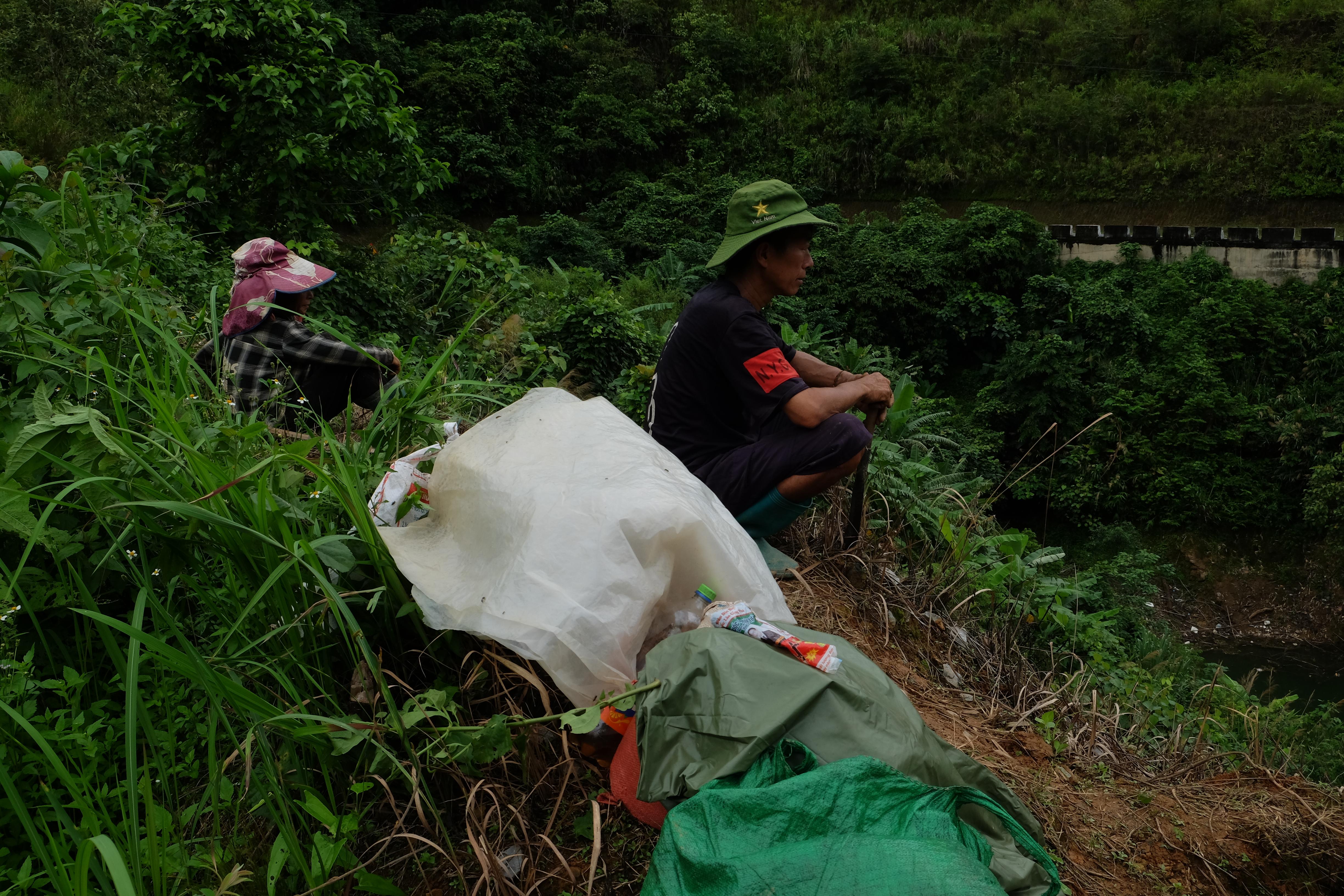 Phát hoang - lấy đất trồng trọt