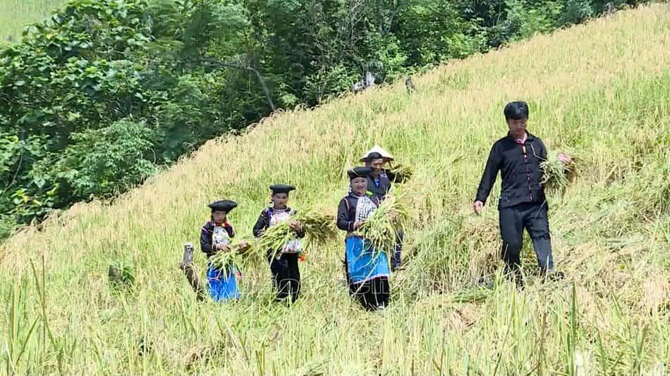 Phong tục của người dân Si La Phong tục của người dân Si La